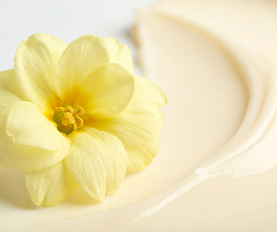 Pale yellow flower resting on a smooth cream surface, symbolizing gentle vaginal care and natural support during menopause.