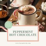 Peppermint hot chocolate in a mug made with dairy-free, hormone-friendly ingredients.