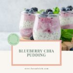 Dairy-free blueberry chia pudding served in a glass jar topped with fresh blueberries and mint.