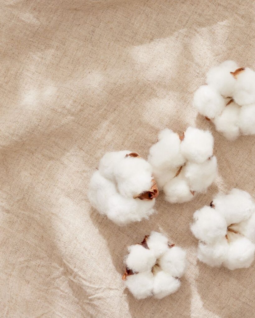 Organic cotton balls on fabric surface, symbolizing comfort and breathability in discussions about postmenopausal yeast infection and the role of natural fibers in easing irritation.
